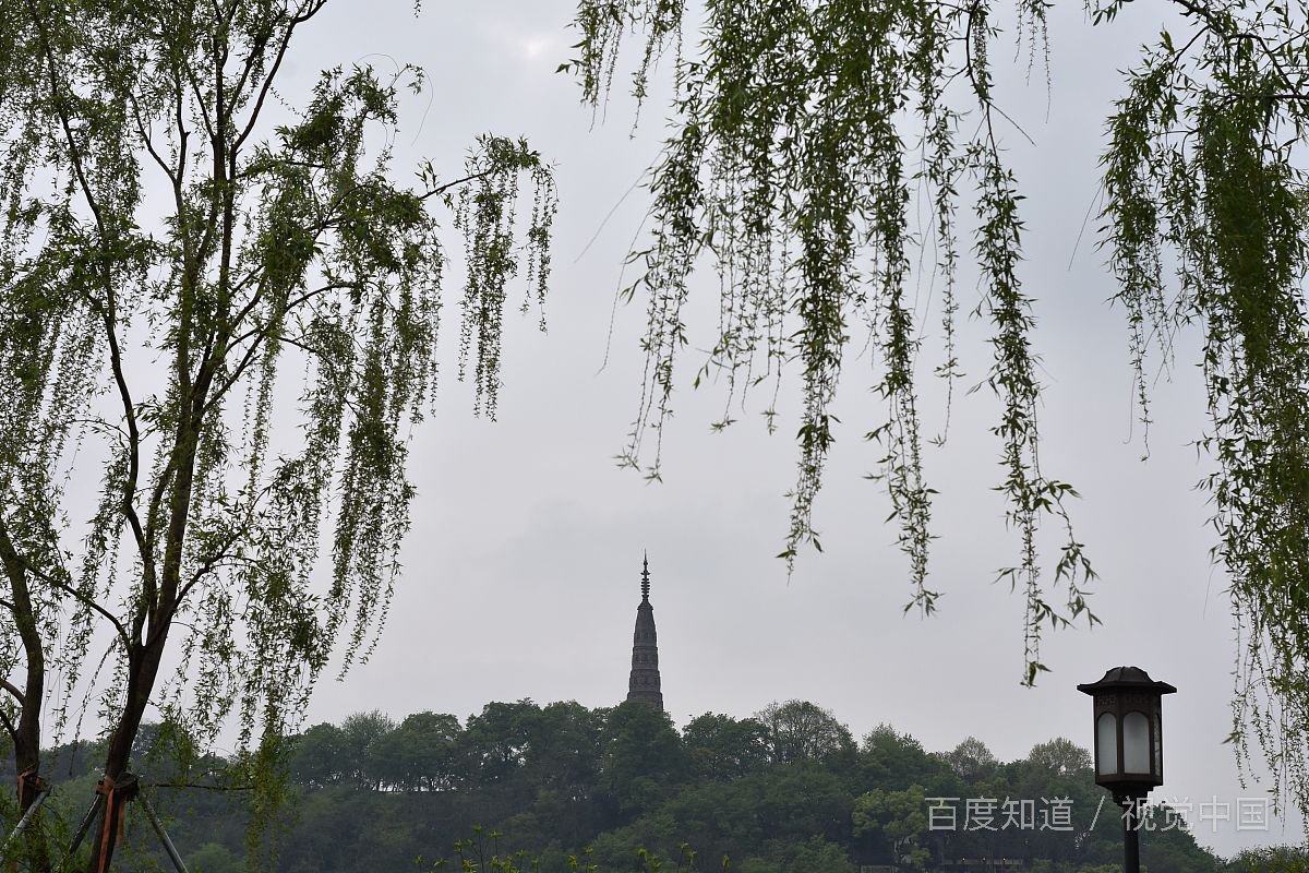 大学师生之间的恋爱应该被禁止吗?