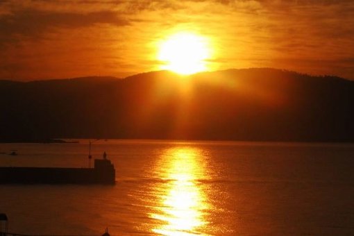 11月8日用英语怎么写