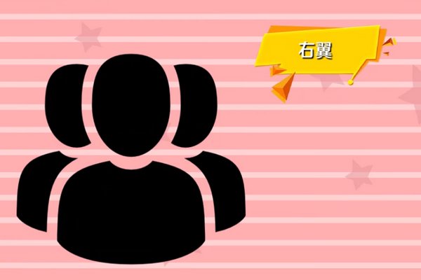 左翼和右翼是什么意思