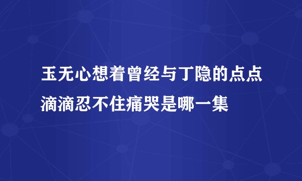 玉无心想着曾经与丁隐的点点滴滴忍不住痛哭是哪一集