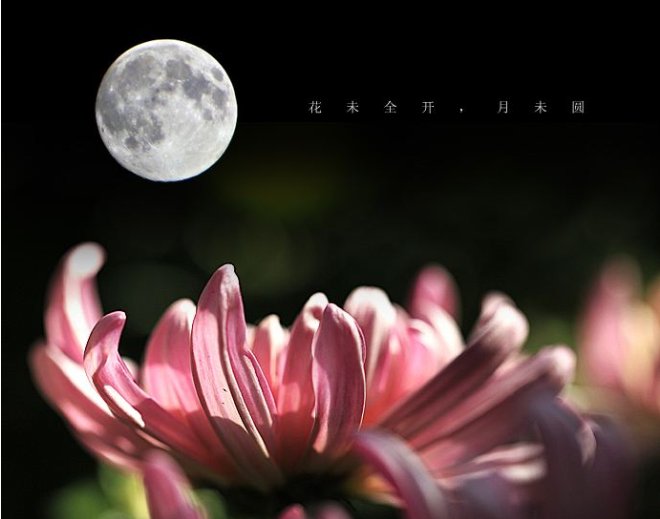 花未全开月未圆全诗赏析