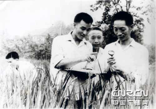 李必湖的论文专著