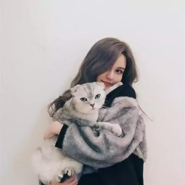 对方回复同感 怎么回答？