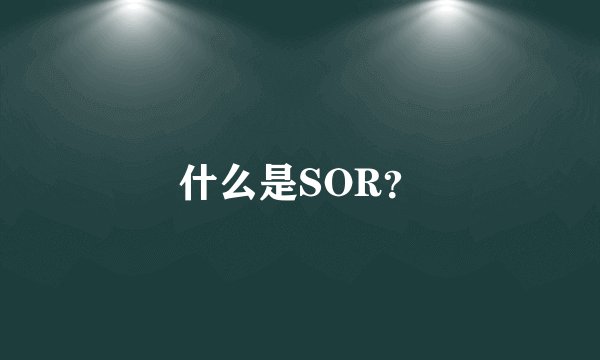 什么是SOR？