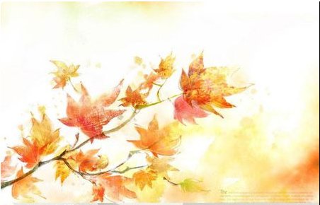 一片一片又一片,两片三片四五片。