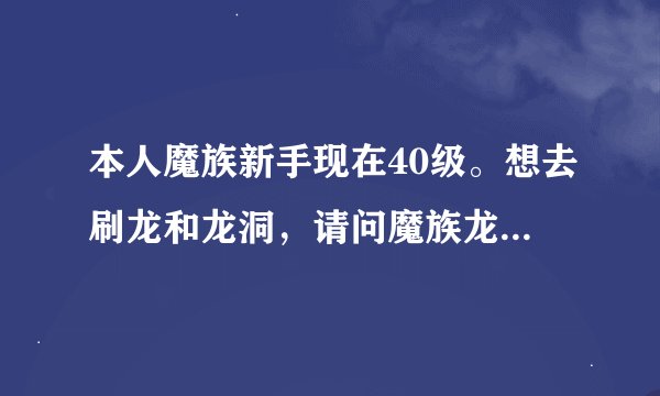 本人魔族新手现在40级。想去刷龙和龙洞，请问魔族龙区的传送任务是什么？