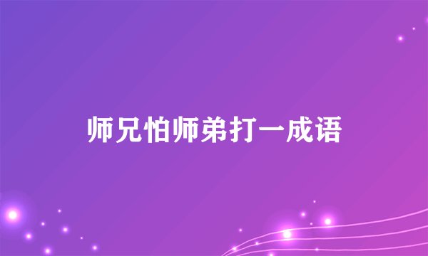 师兄怕师弟打一成语