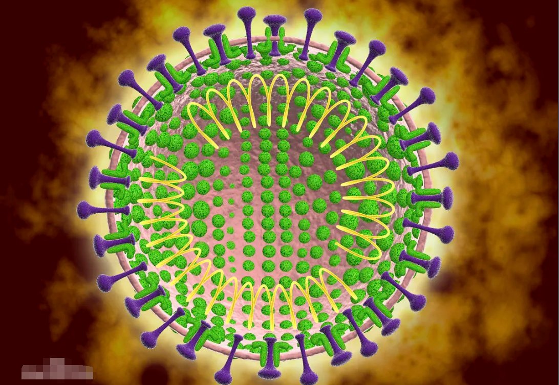 Covid是什么意思？