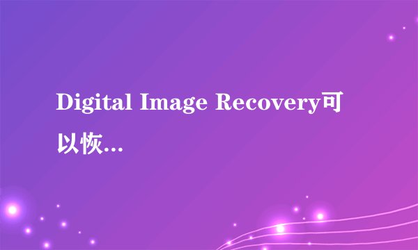 Digital Image Recovery可以恢复视频吗