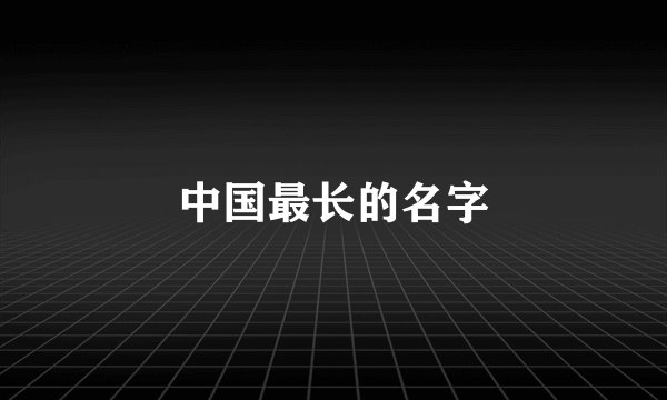中国最长的名字