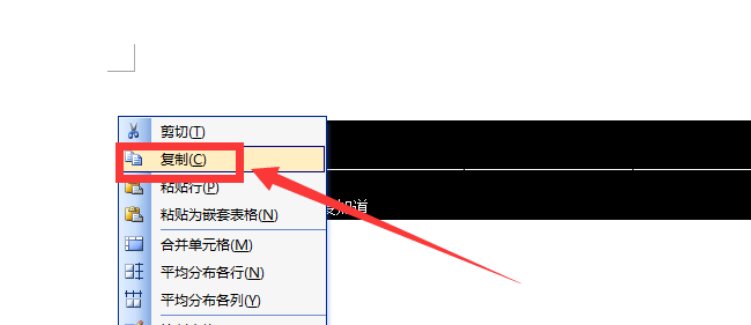 如何复制文本中间的空格呢？