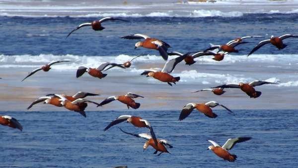 “海阔凭鱼跃”是出自于哪首古诗？全诗内容是什么？