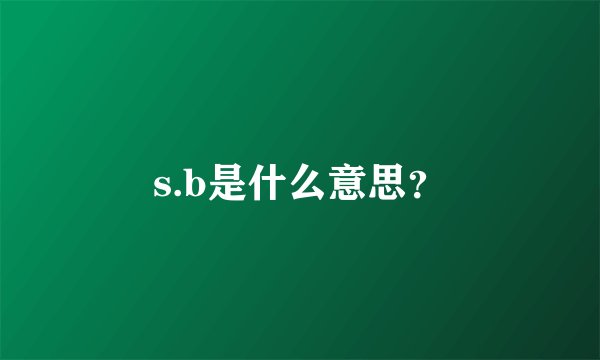 s.b是什么意思？