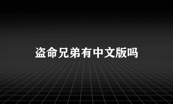 盗命兄弟有中文版吗