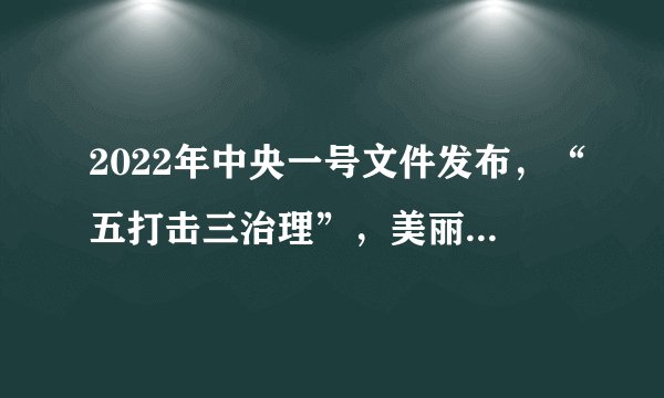 2022年中央一号文件发布，“五打击三治理”，美丽乡村再迈新步伐
