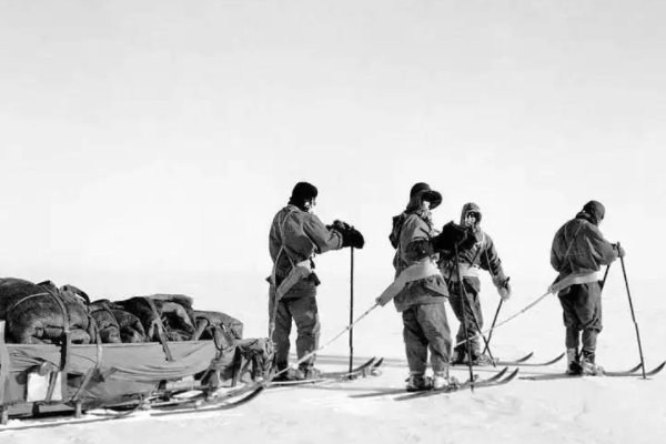 1993年世界上发生了哪些大事？