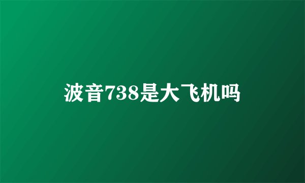 波音738是大飞机吗
