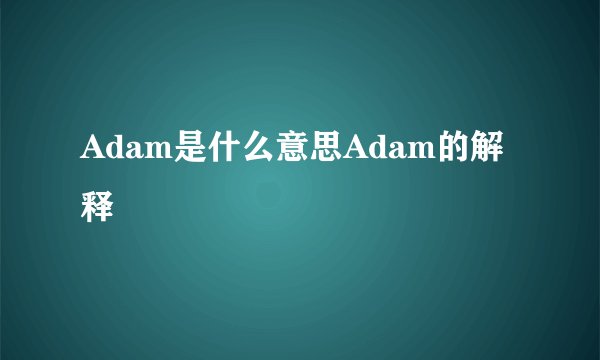 Adam是什么意思Adam的解释