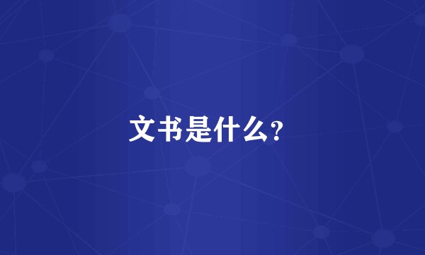 文书是什么？