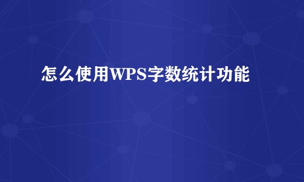 怎么使用WPS字数统计功能