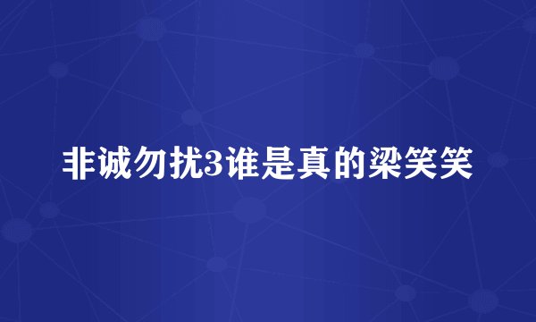 非诚勿扰3谁是真的梁笑笑