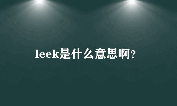 leek是什么意思啊？