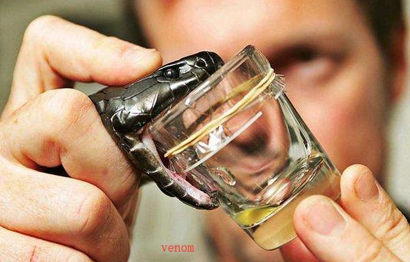 毒液用英语怎么说