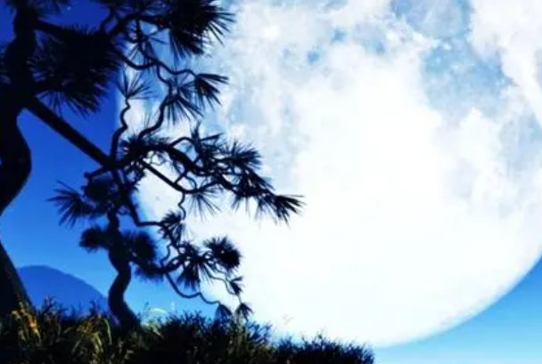 迎中秋庆国庆专题手抄报内容