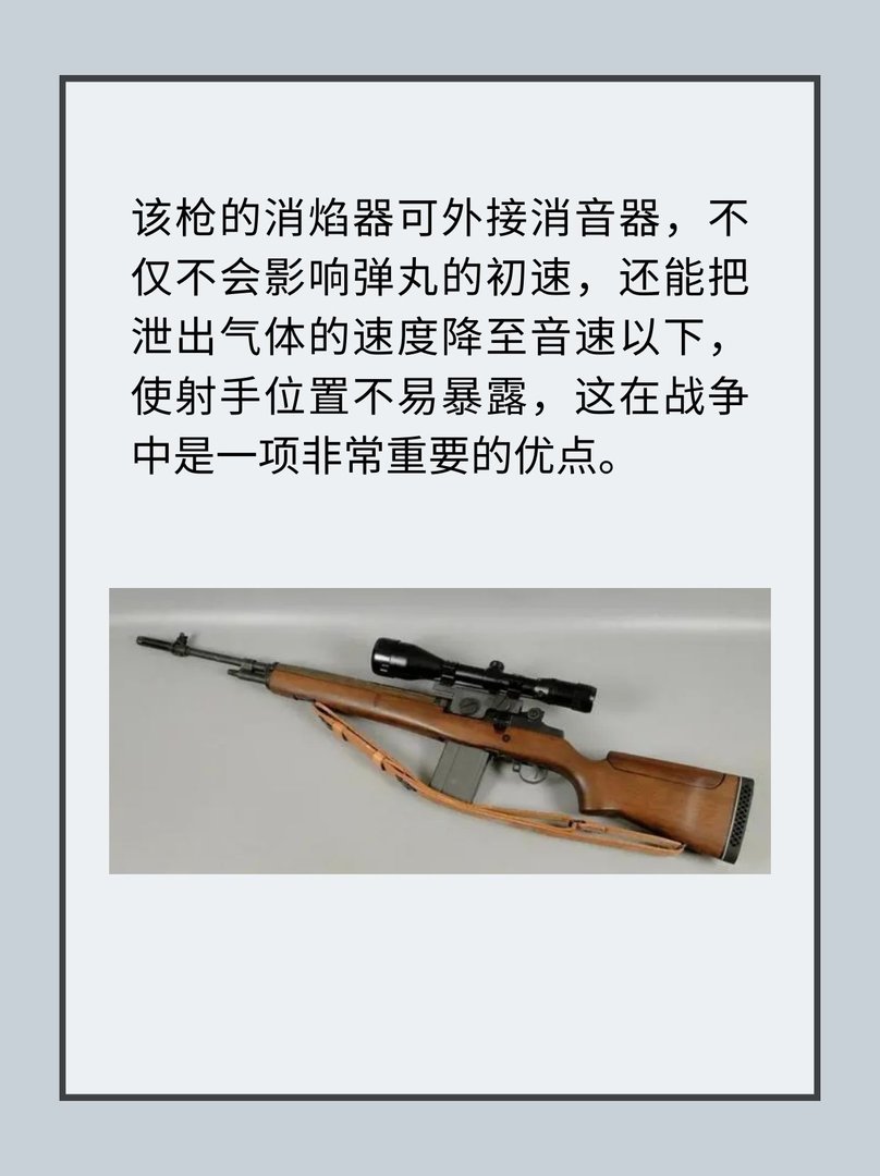 美国M21狙击步枪