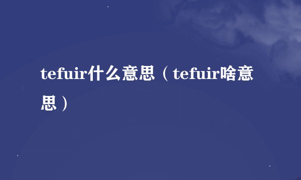 tefuir什么意思（tefuir啥意思）