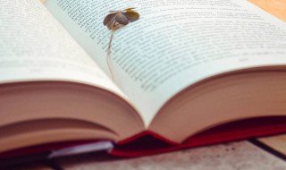 打本是什么意思 打本解释