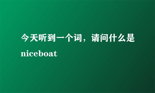 今天听到一个词，请问什么是niceboat