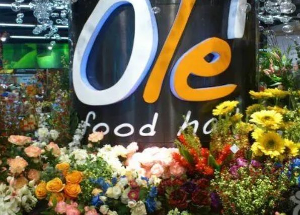 ole怎么读音发音英语