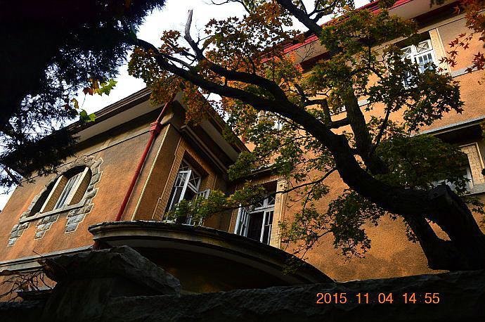 抗战期间，日军特务机关的机关长是什么职位？有多大级别？