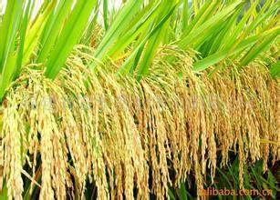 中国建国多少年了