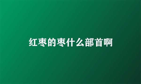 红枣的枣什么部首啊