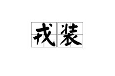 戎装的意思解释