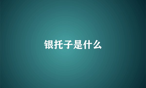 银托子是什么
