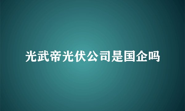 光武帝光伏公司是国企吗