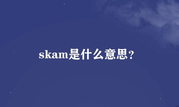 skam是什么意思？