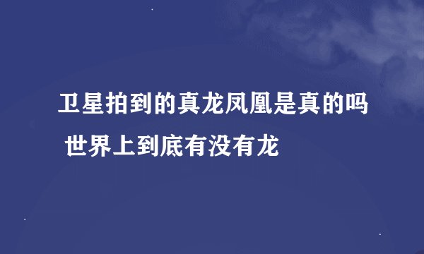 卫星拍到的真龙凤凰是真的吗 世界上到底有没有龙