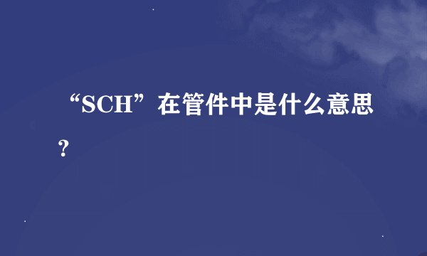 “SCH”在管件中是什么意思？