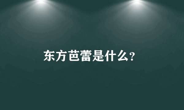 东方芭蕾是什么？
