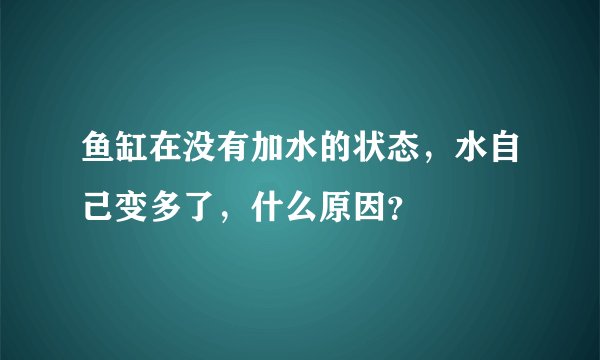 鱼缸在没有加水的状态，水自己变多了，什么原因？