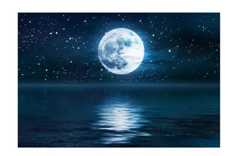 全女格斗的基本操作？