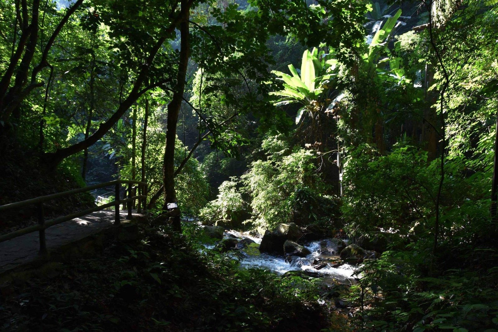 粗犷的释义是什么