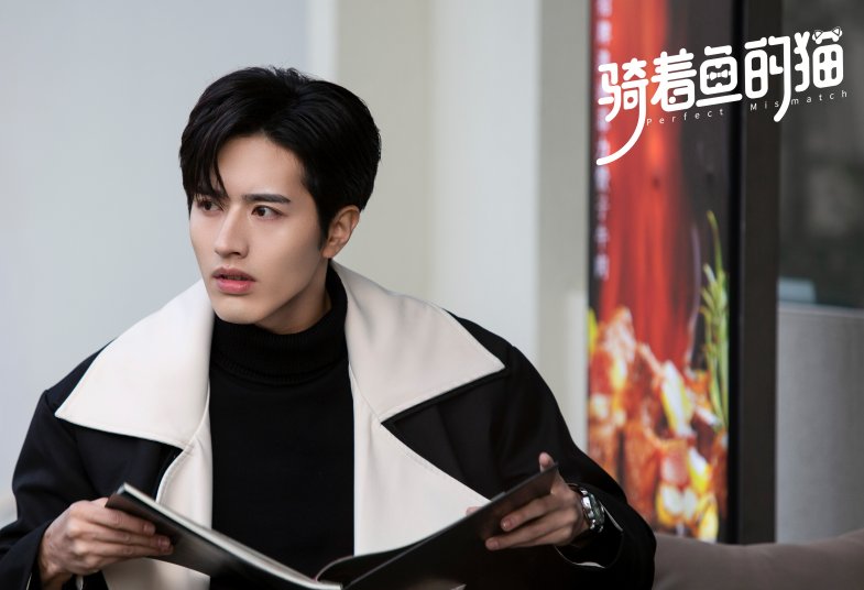 骑着鱼的猫什么意思