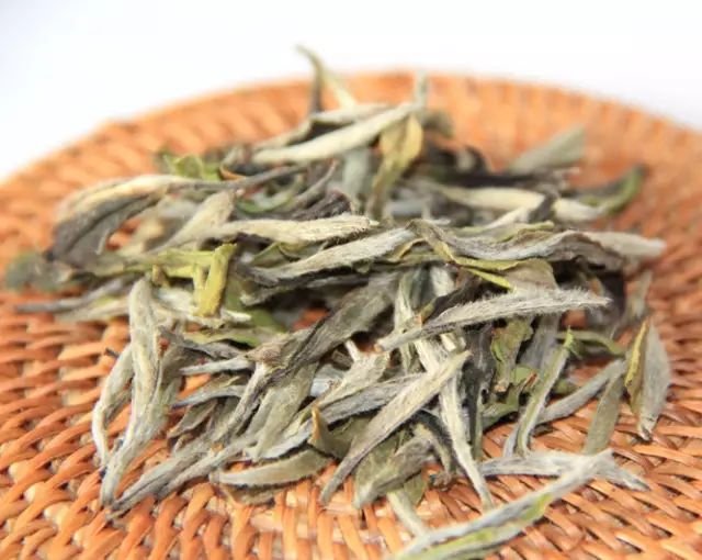 白如云绿如梦是什么茶系的美誉
