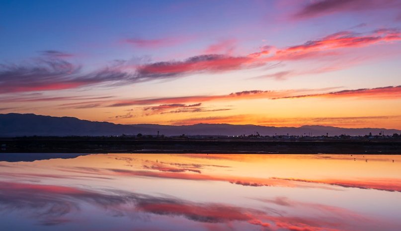 prospects是什么意思