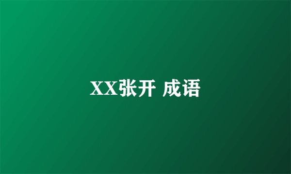 XX张开 成语